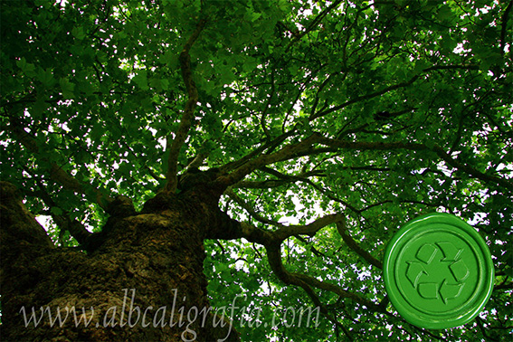 Árbol con medallón de lacre biodegradable